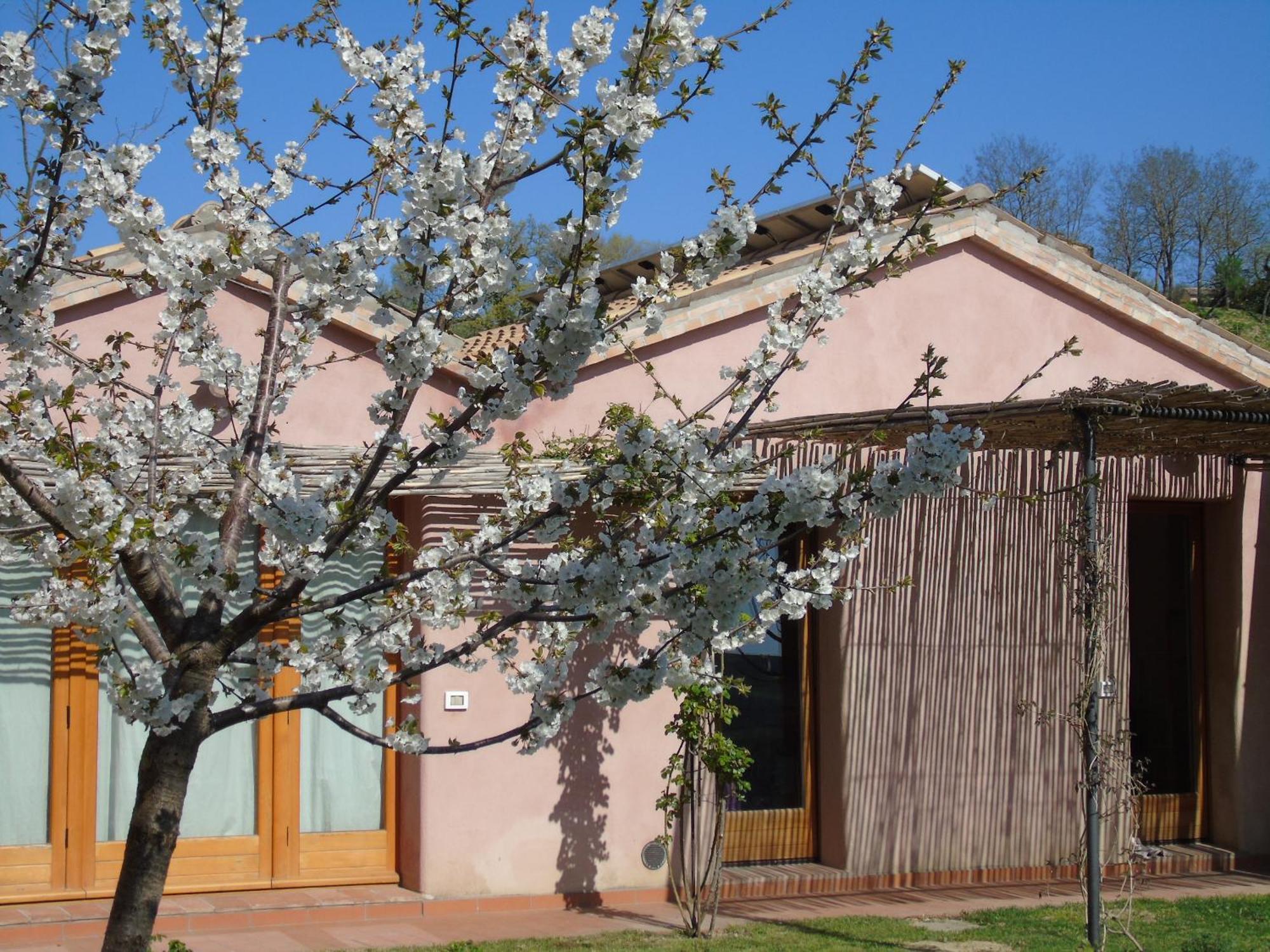 La Luna Nell'Orto-Casa Vacanza Ecologica E Agricoltura Biodinamica Barchi Exterior foto